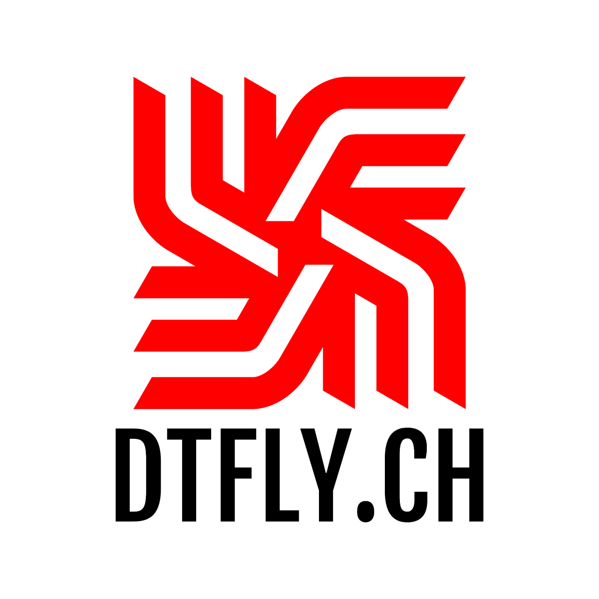 DRONE TECHNICAL FLY